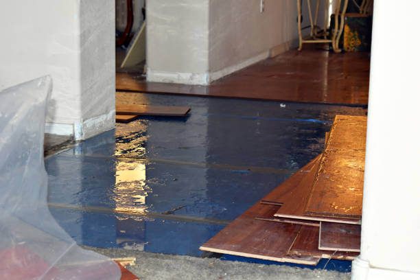 Professional Water Damage Restoration technician working in Cherokee, AL